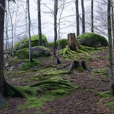 Widok Na Las, Pod Reglami *